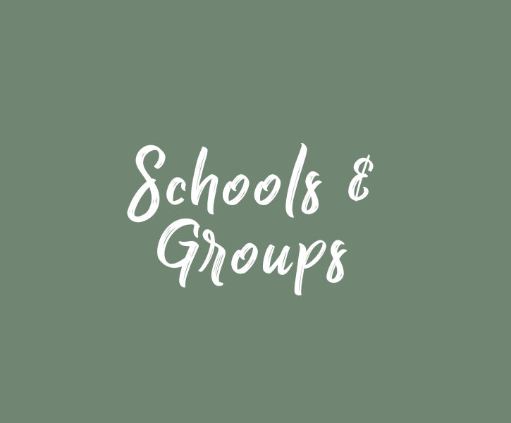 Schools & Groups