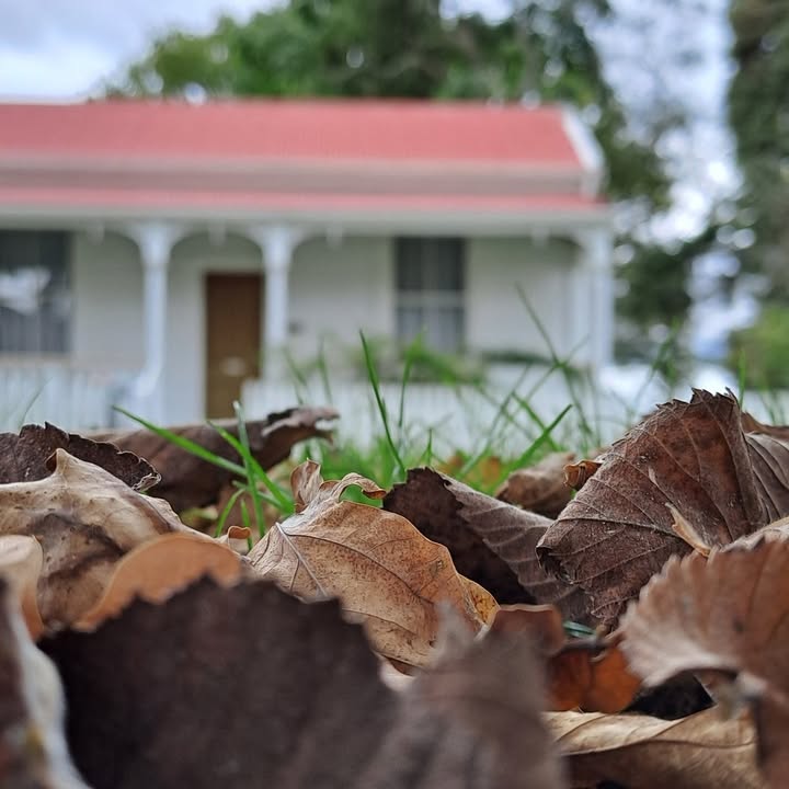Autumn vibes here in the reserve 🍂🍁

📍Firth Tower Reserve and Museum
Tower Road
Matamata...