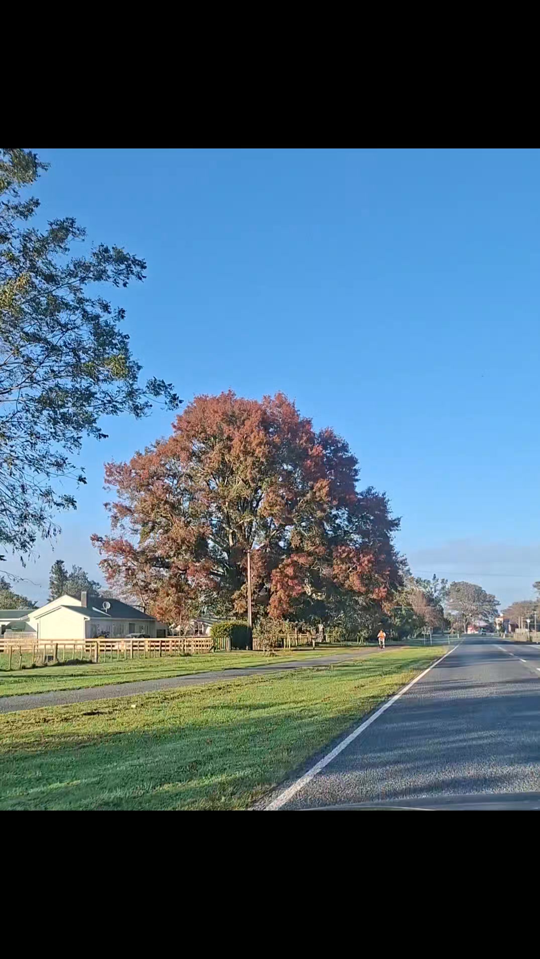 Sunny autumn bike ride on the Hauraki Rail Trail. Section E runs right past our front door!  Come...