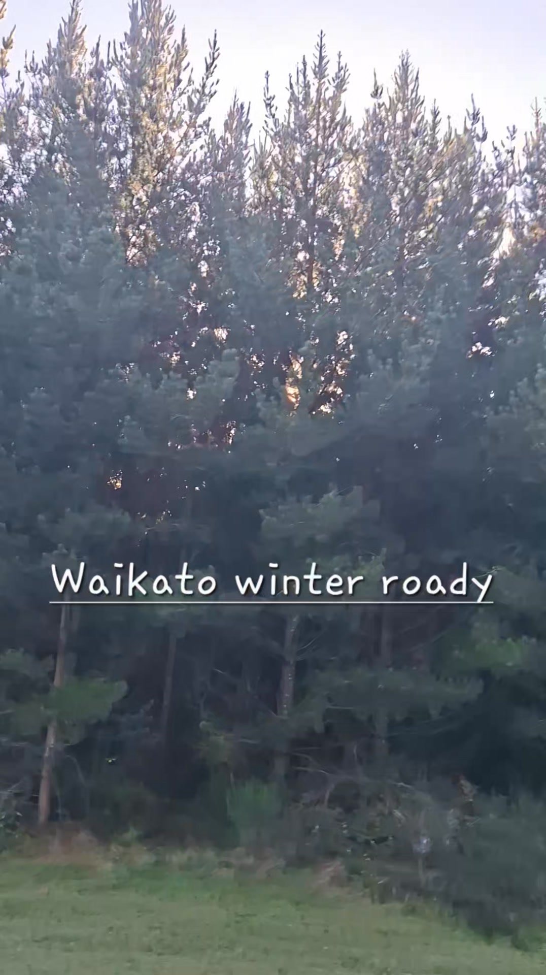 If you're road tripping around New Zealand this winter and you are visiting the mighty Waikato re...
