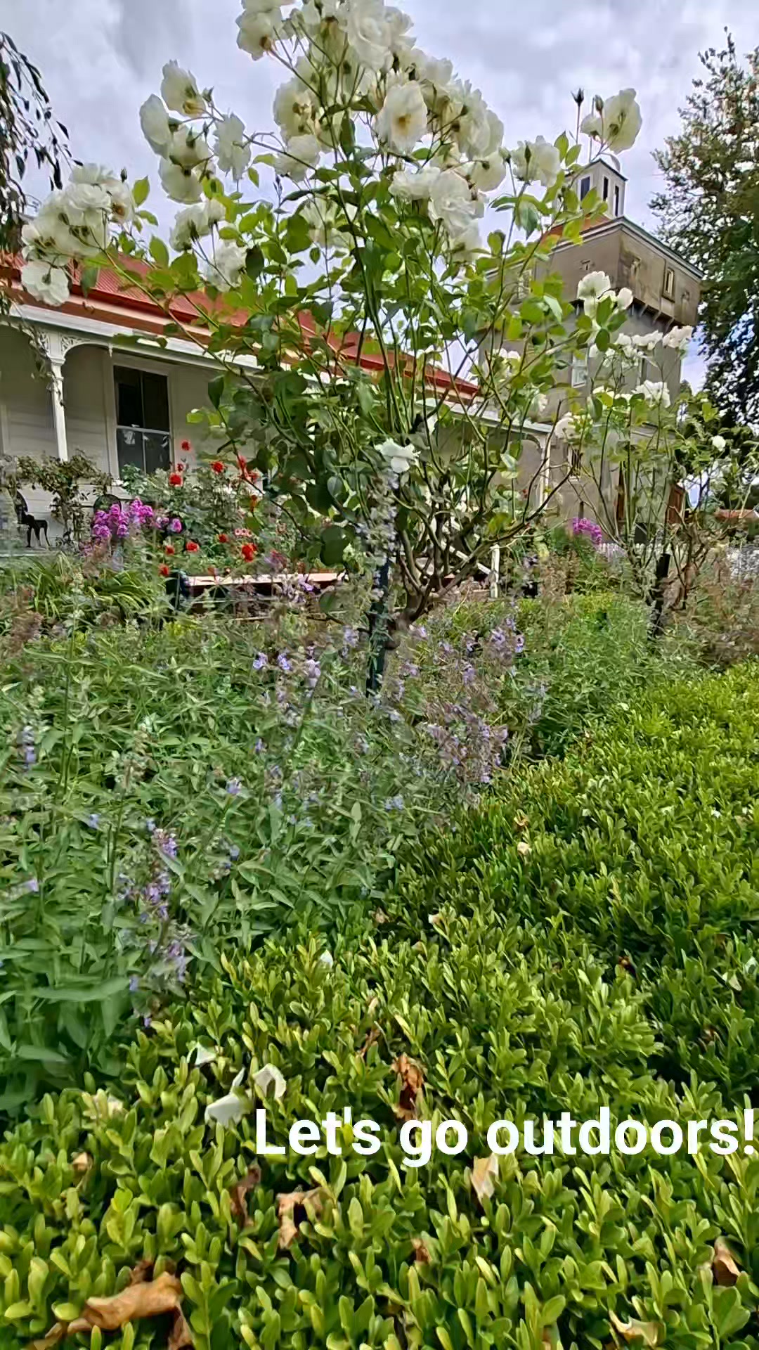 This is your invite to spend some time in nature! Our beautiful gardens are are open 7 days a wee...